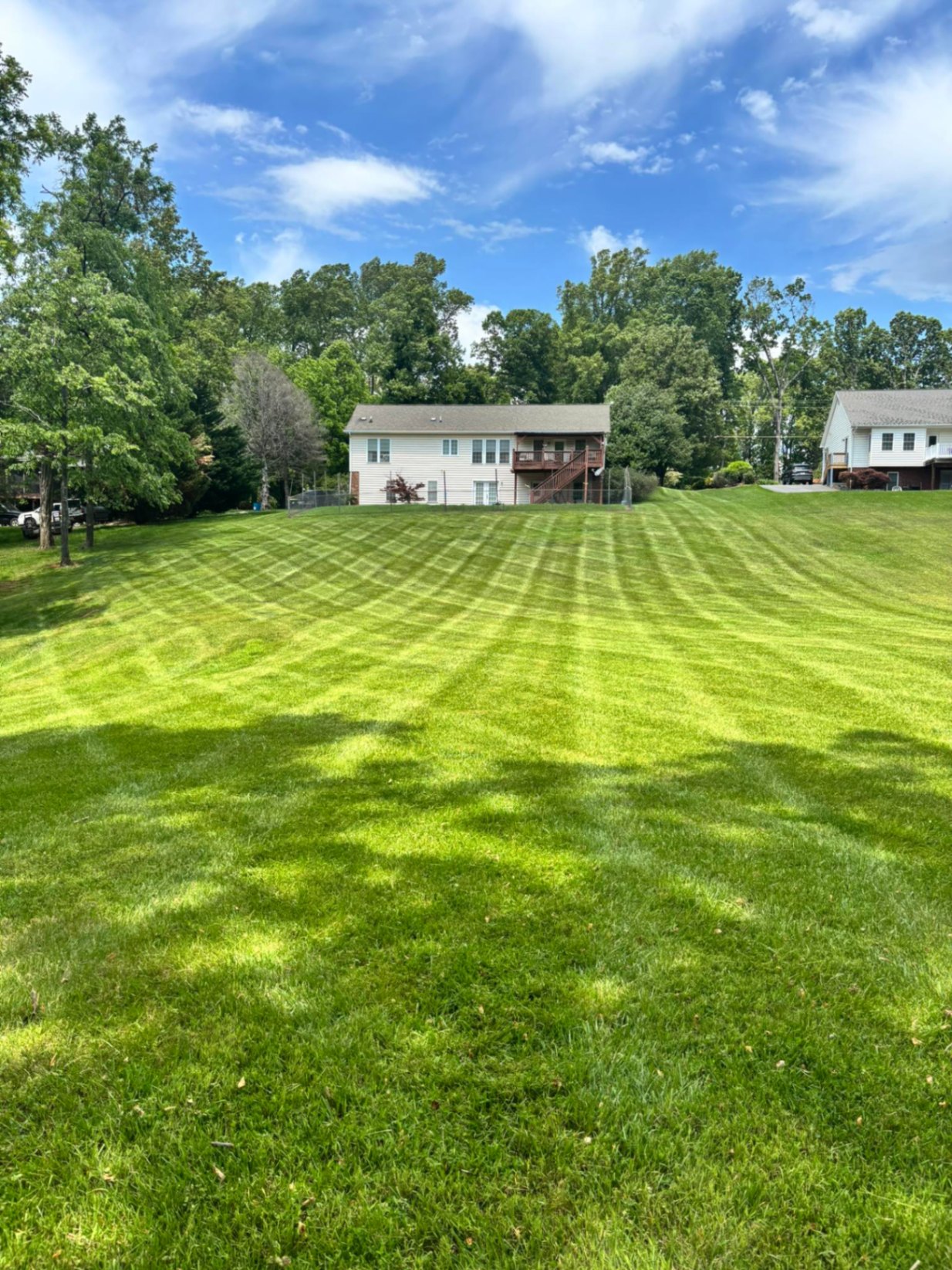 Freshly mowed striped lawn