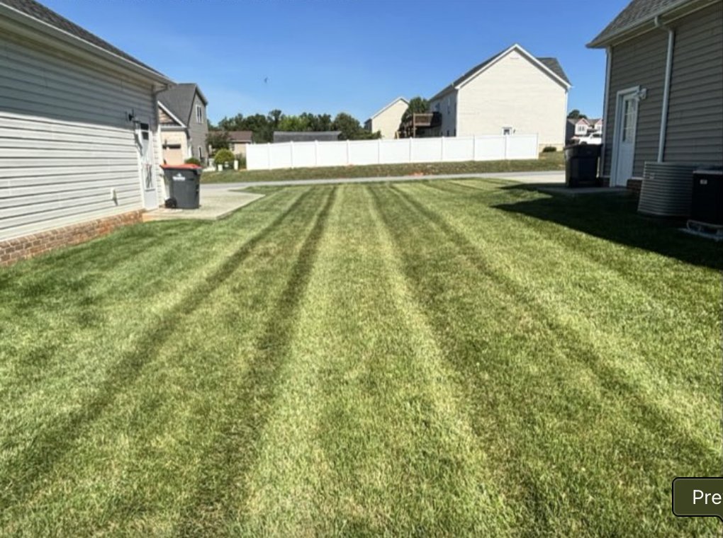 Striped lawn